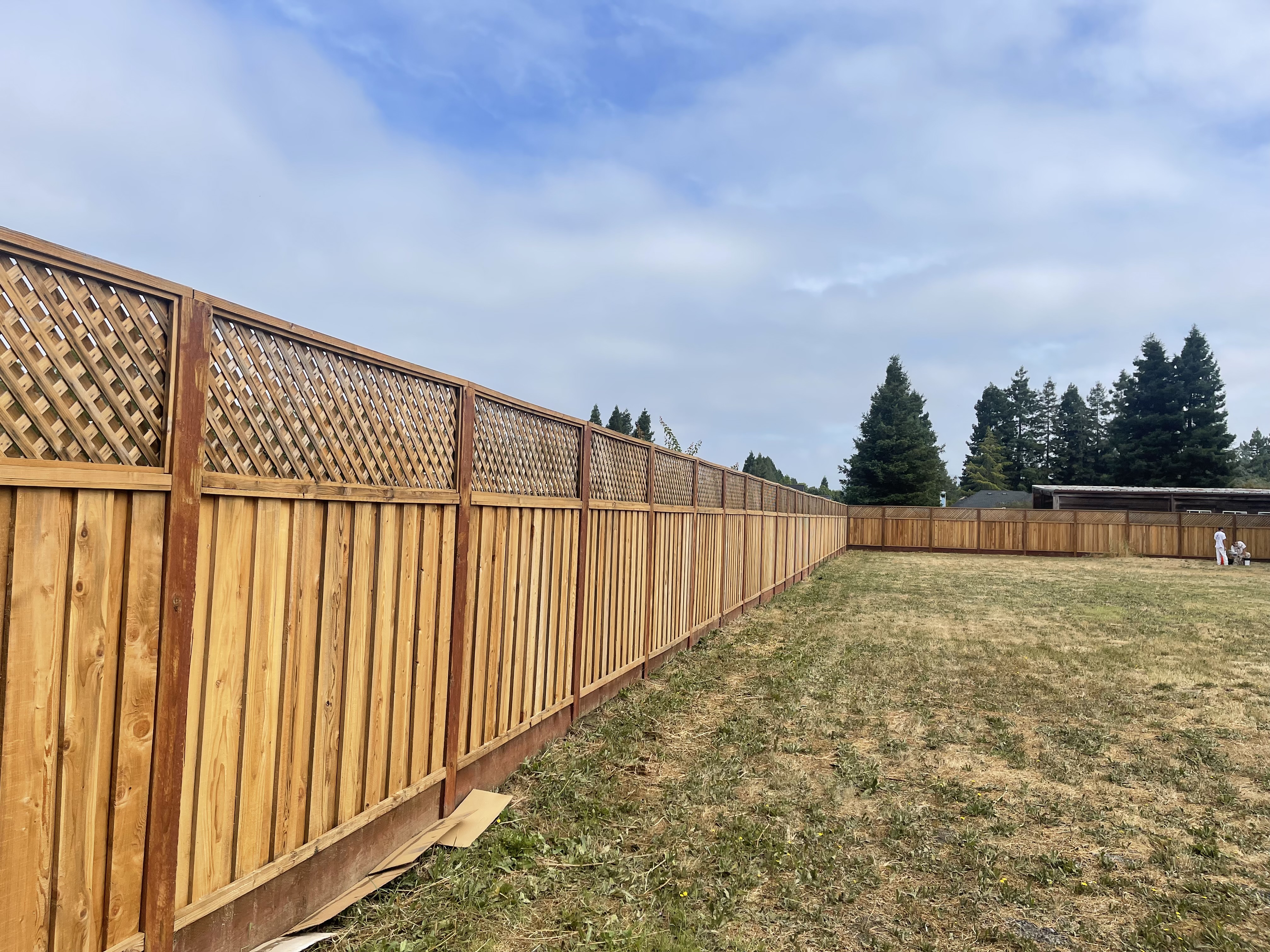 Gallery photo 154