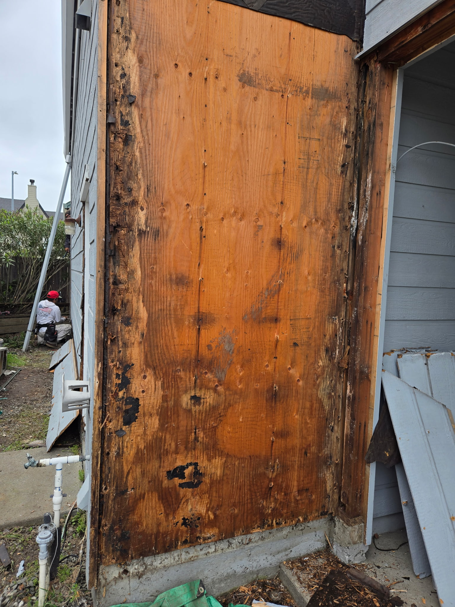 Gallery photo 39